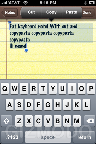 Illustration for article titled iPhone 3.0 Beta OS Impressions And Walkthrough Gallery